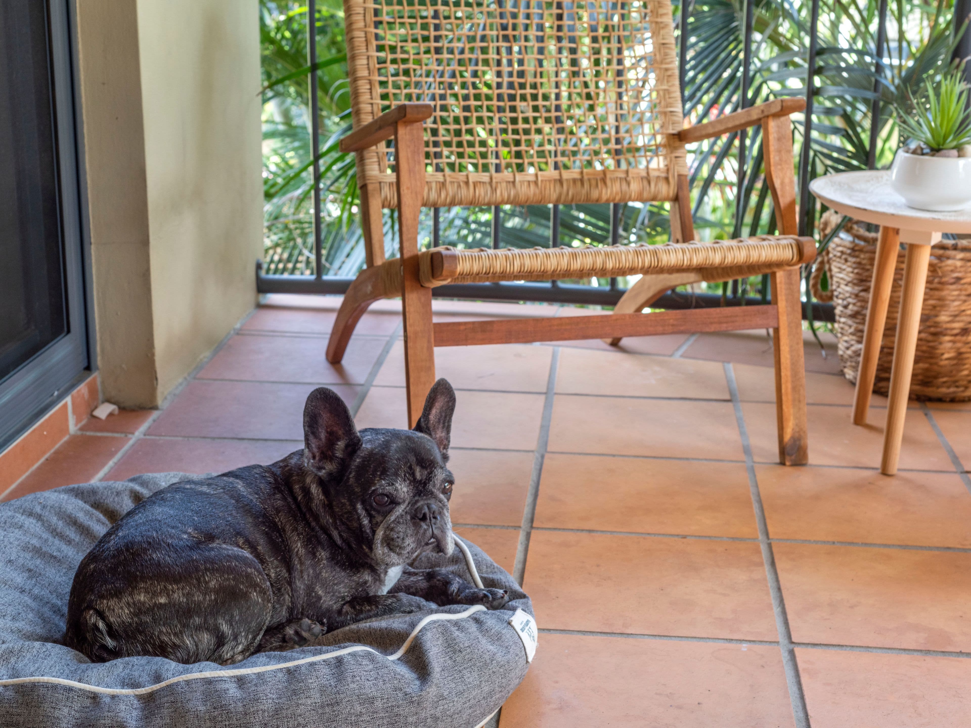 68 Beeston Street, Teneriffe QLD 4005, Teneriffe - Thumbnail 3