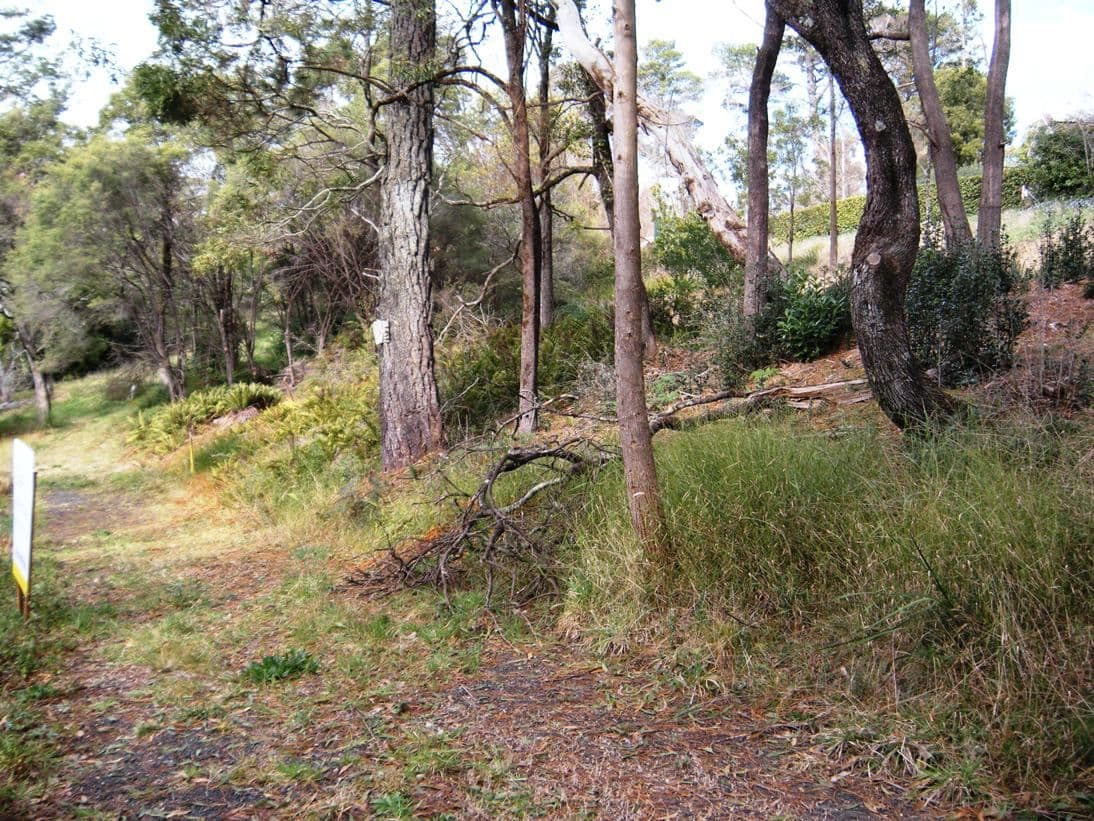 22 Gardiners Crescent, BLACKHEATH NSW 2785, Blackheath - Thumbnail 3