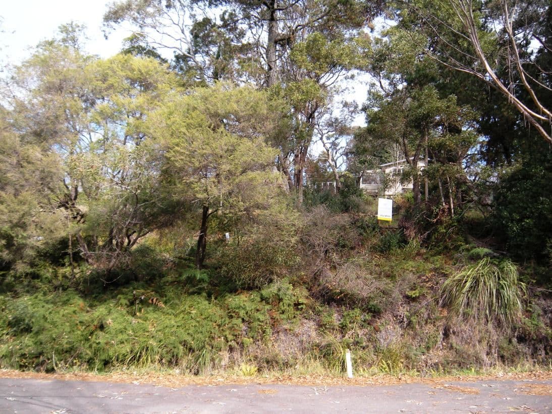 22 Gardiners Crescent, BLACKHEATH NSW 2785, Blackheath - Thumbnail 4