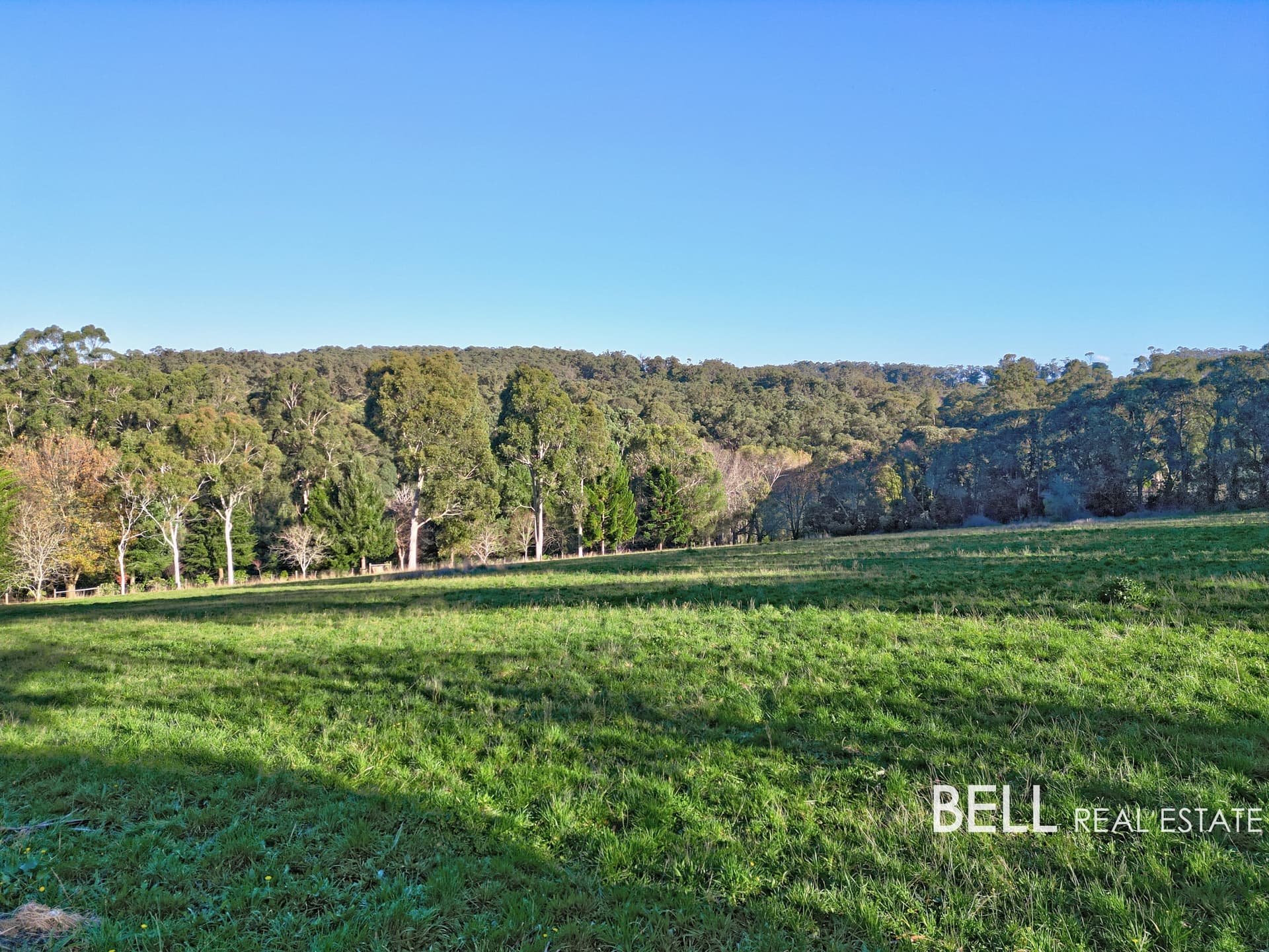 14 Blackwood Lane, GEMBROOK, Gembrook - Image 1