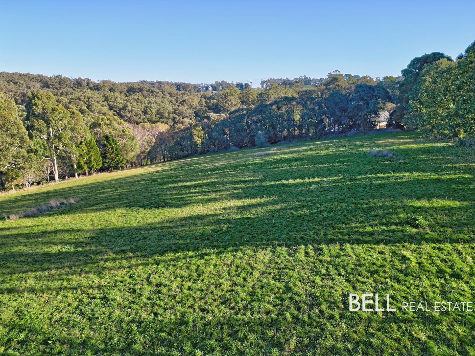 14 Blackwood Lane, GEMBROOK, Gembrook - Thumbnail 3