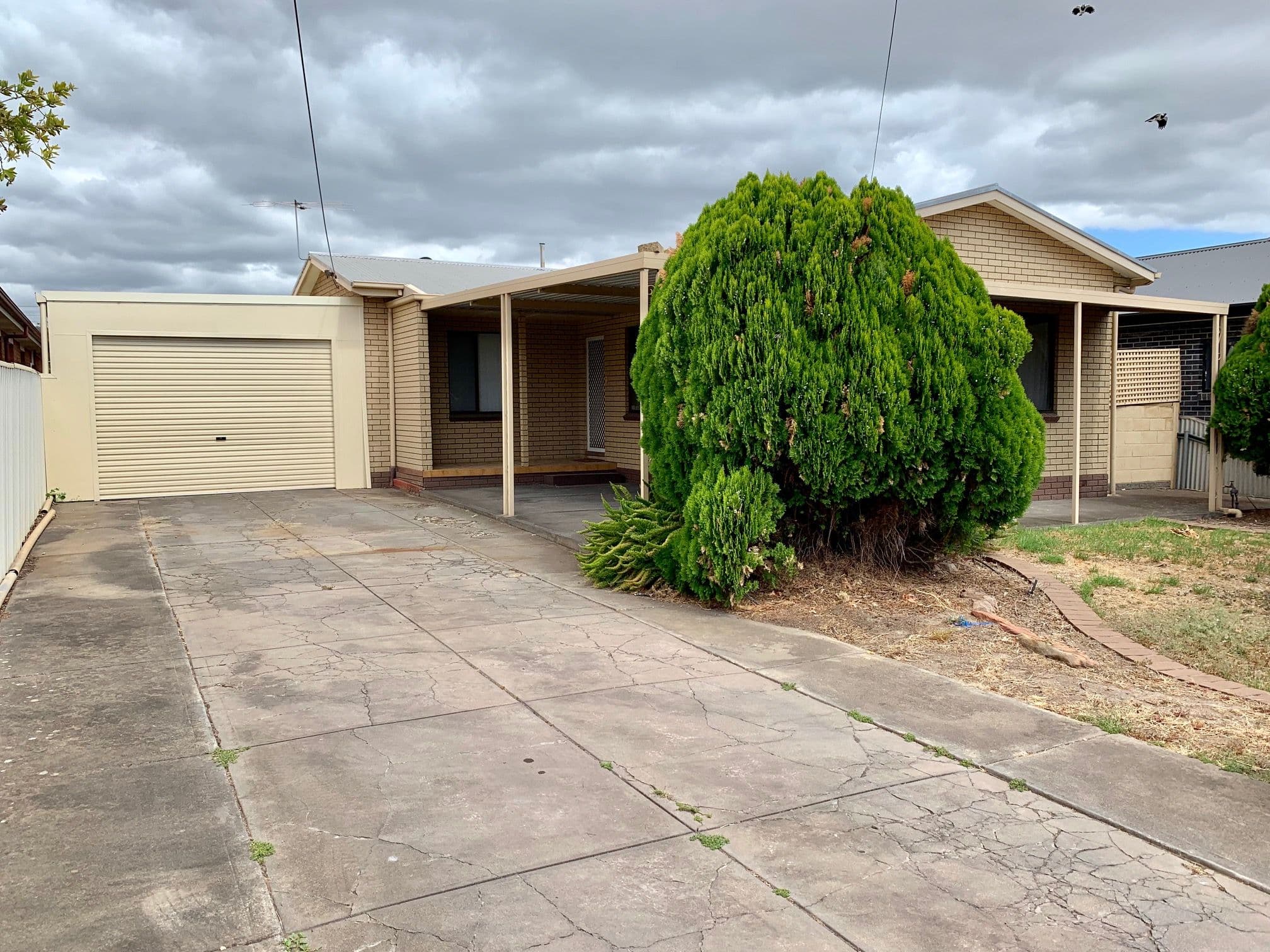10 Shalford Terrace, Campbelltown SA 5074, Campbelltown - Image 1