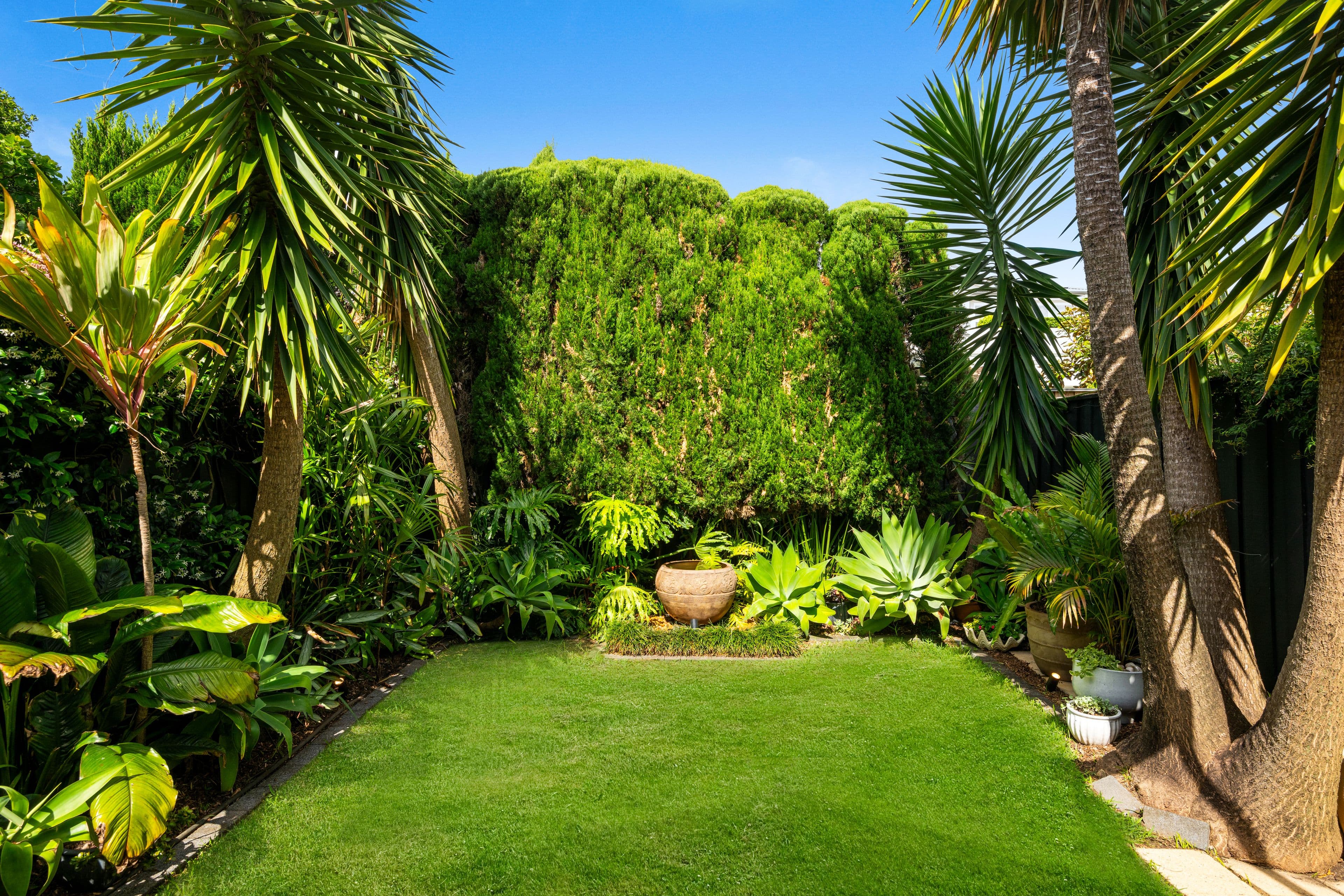 16 Want Street, Mosman NSW 2088, Mosman - Thumbnail 6