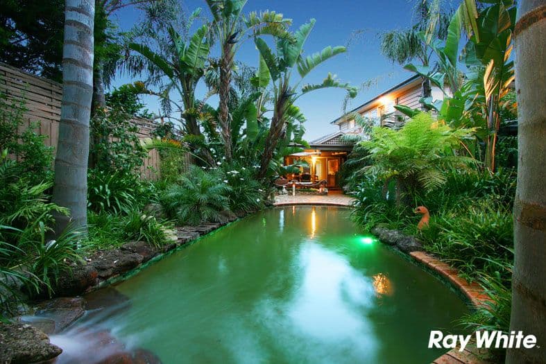 43 Matlock Road, BORONIA VIC 3155, Boronia - Thumbnail 2