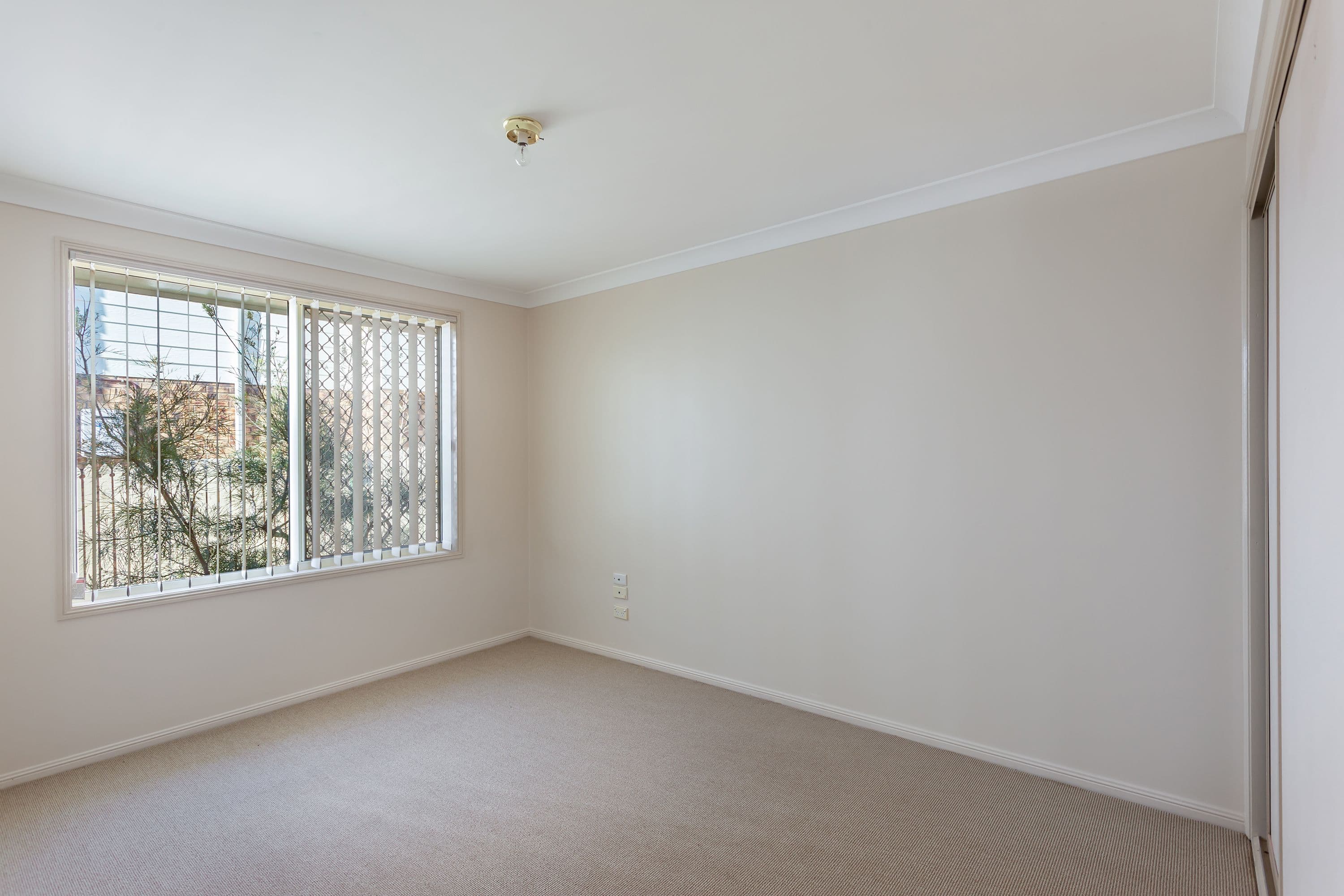 17 Dalzell Crescent, Darling Heights QLD 4350, Darling Heights - Thumbnail 7