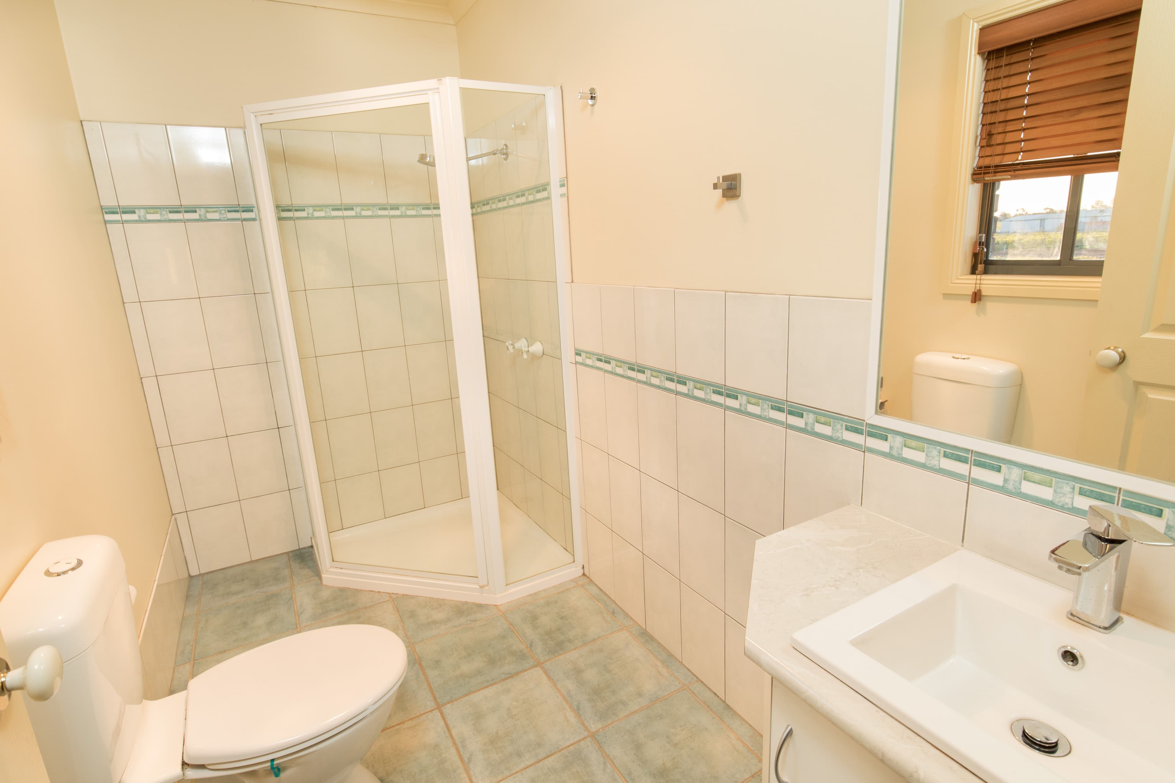 156 Belar Avenue, Irymple VIC 3498, Irymple - Thumbnail 4