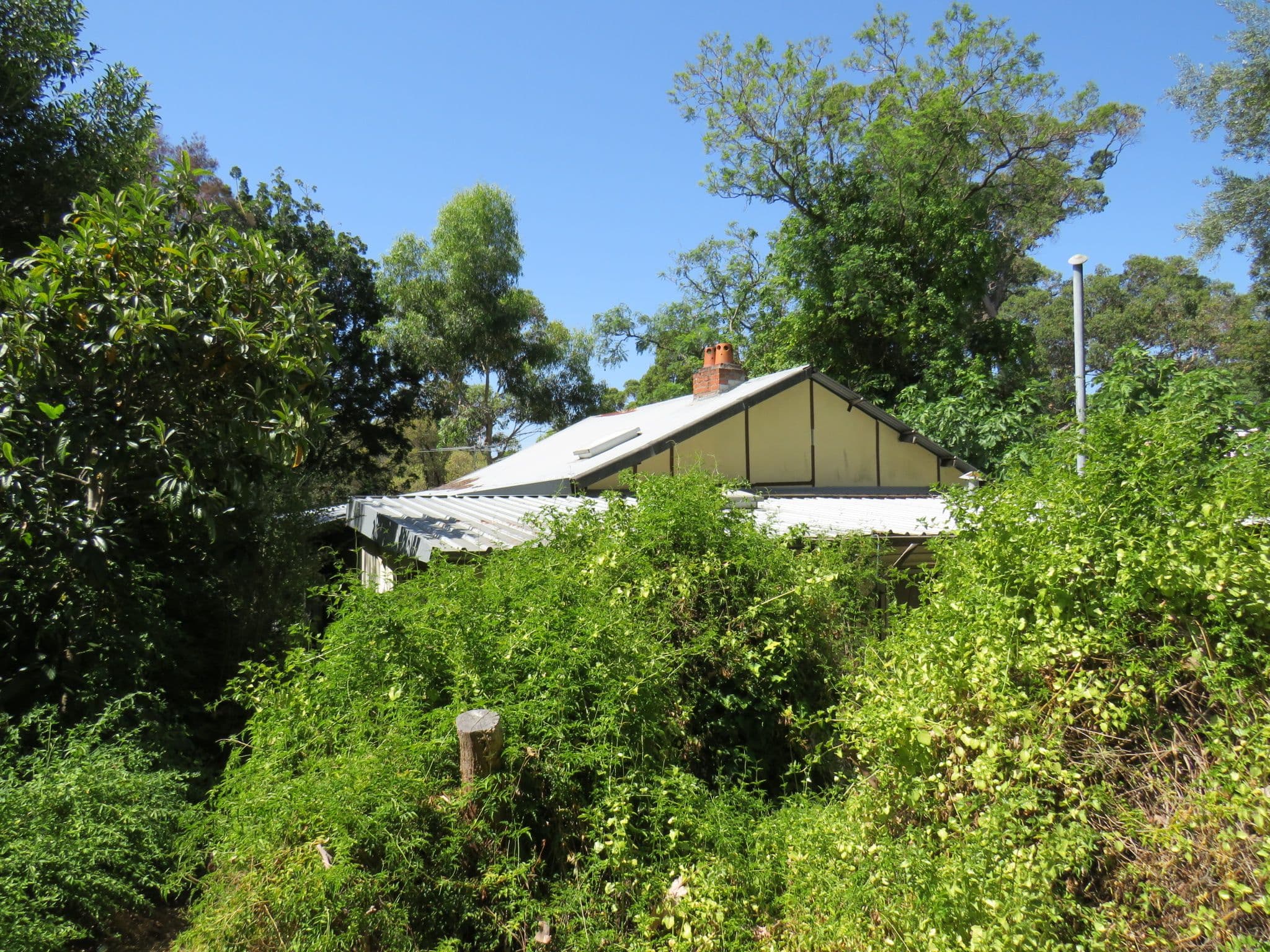 10 Mundaring Weir Road, Kalamunda WA 6076, Kalamunda - Thumbnail 4