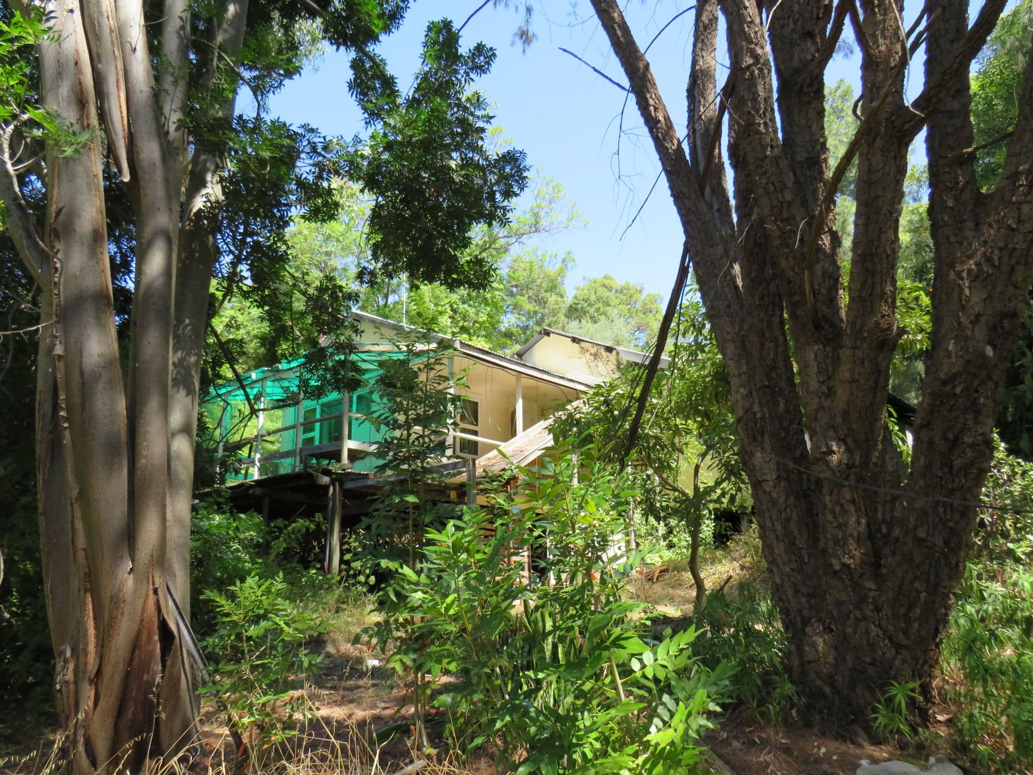 10 Mundaring Weir Road, Kalamunda WA 6076, Kalamunda - Thumbnail 5