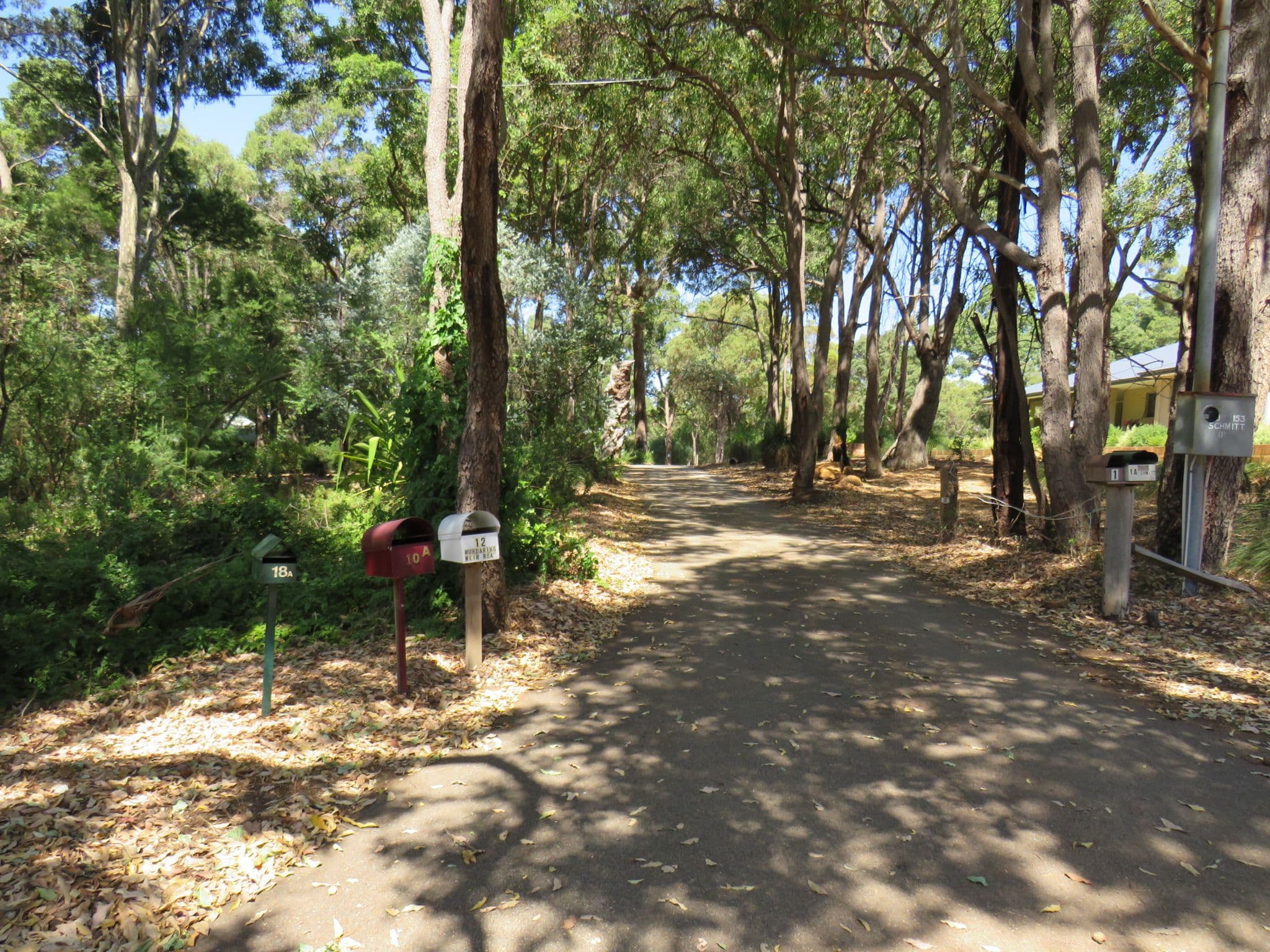 10 Mundaring Weir Road, Kalamunda WA 6076, Kalamunda - Thumbnail 6