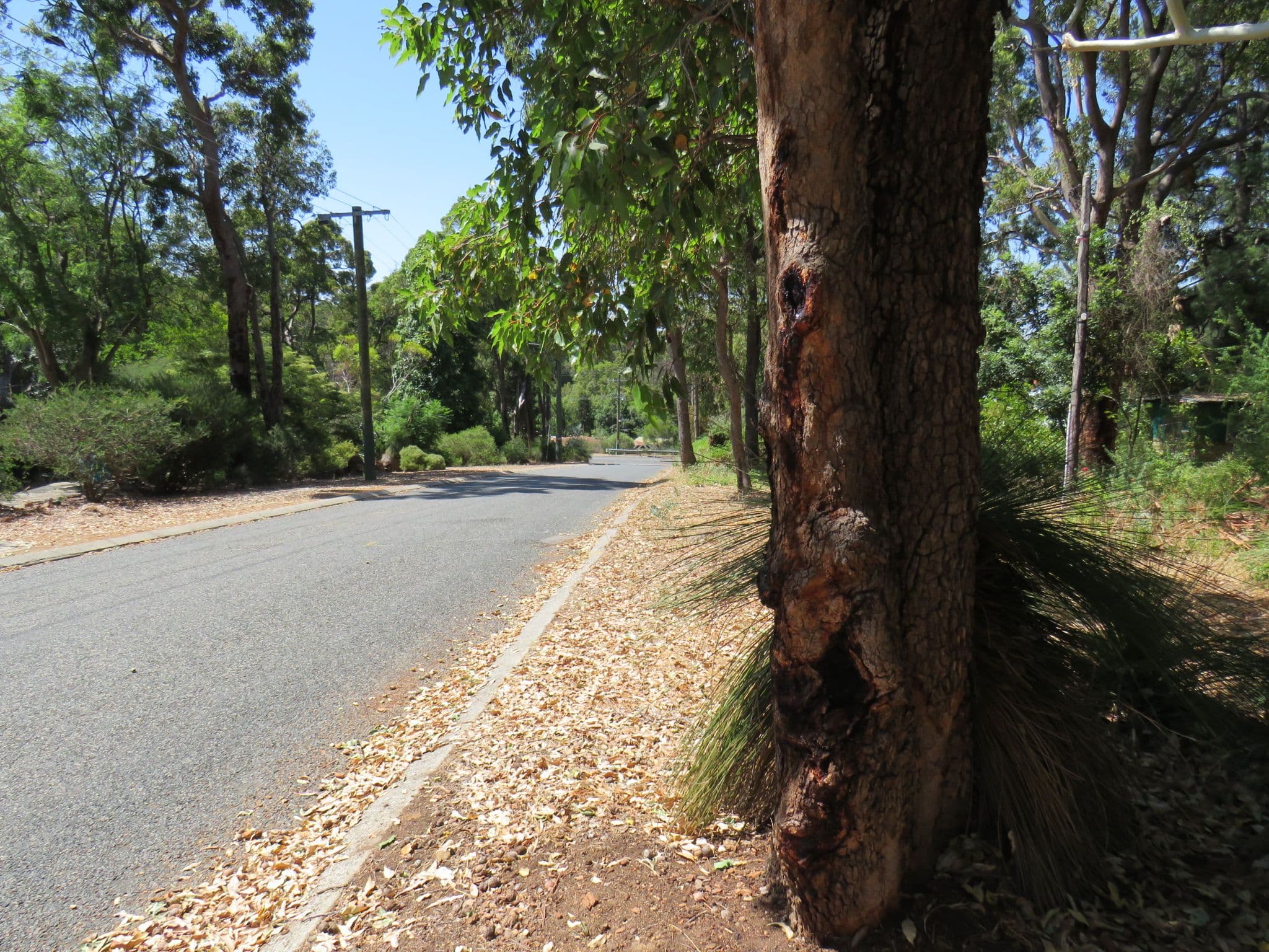 10 Mundaring Weir Road, Kalamunda WA 6076, Kalamunda - Thumbnail 8