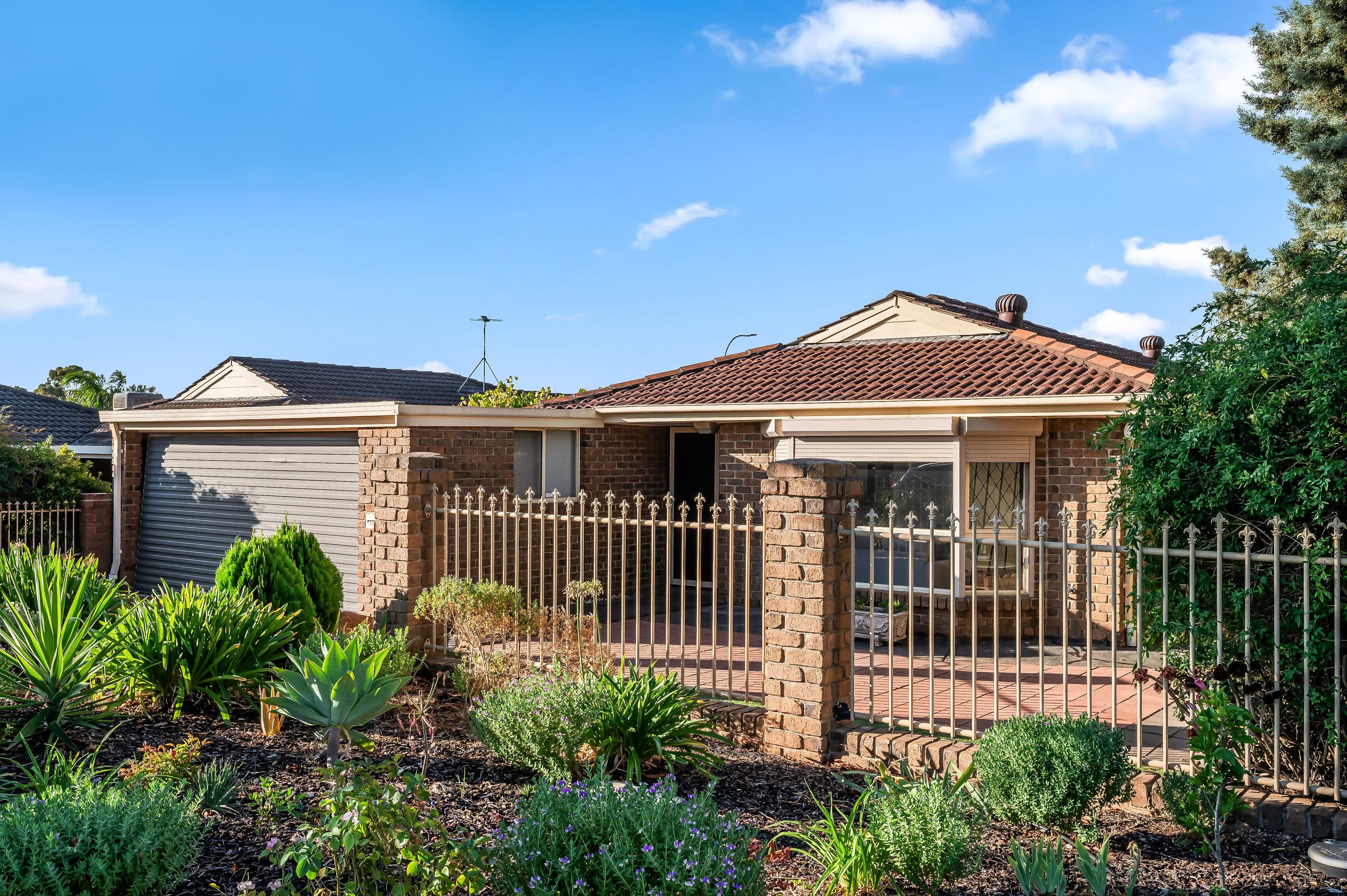 6 Harmer Court, Wynn Vale SA 5127, Wynn Vale - Thumbnail 3