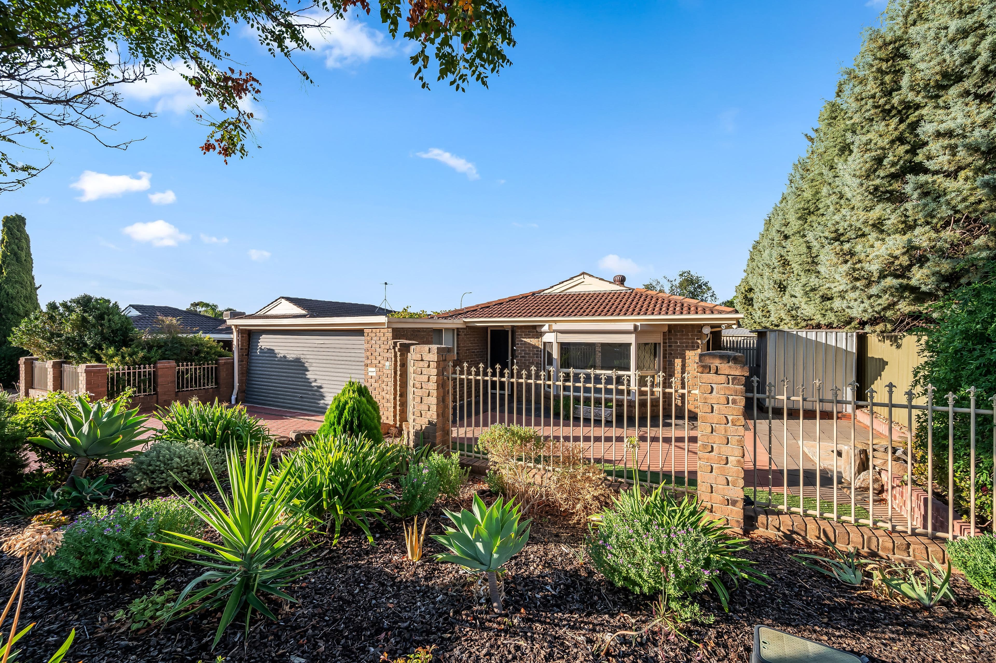 6 Harmer Court, Wynn Vale SA 5127, Wynn Vale - Thumbnail 4