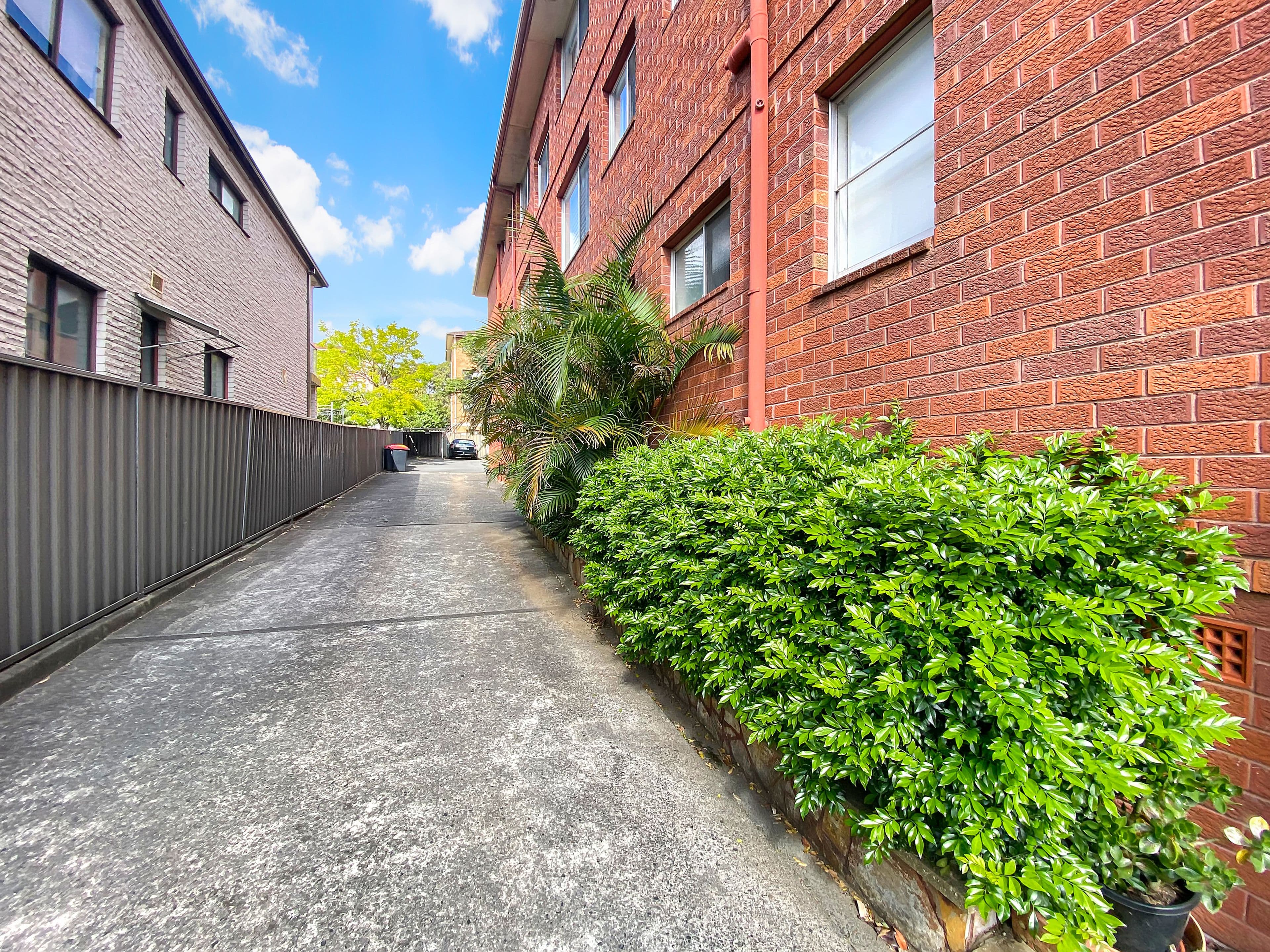 3 Nelson Street, Penshurst NSW 2222, Penshurst - Thumbnail 3