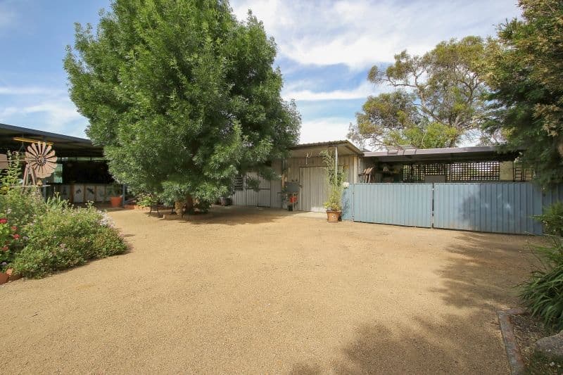 3 Sunnyside Crescent, Walla Walla - Thumbnail 7