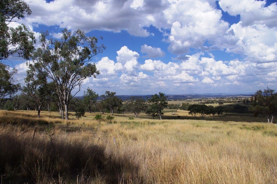 78 Mackie Lane, Inverell NSW 2360, Inverell - Thumbnail 2