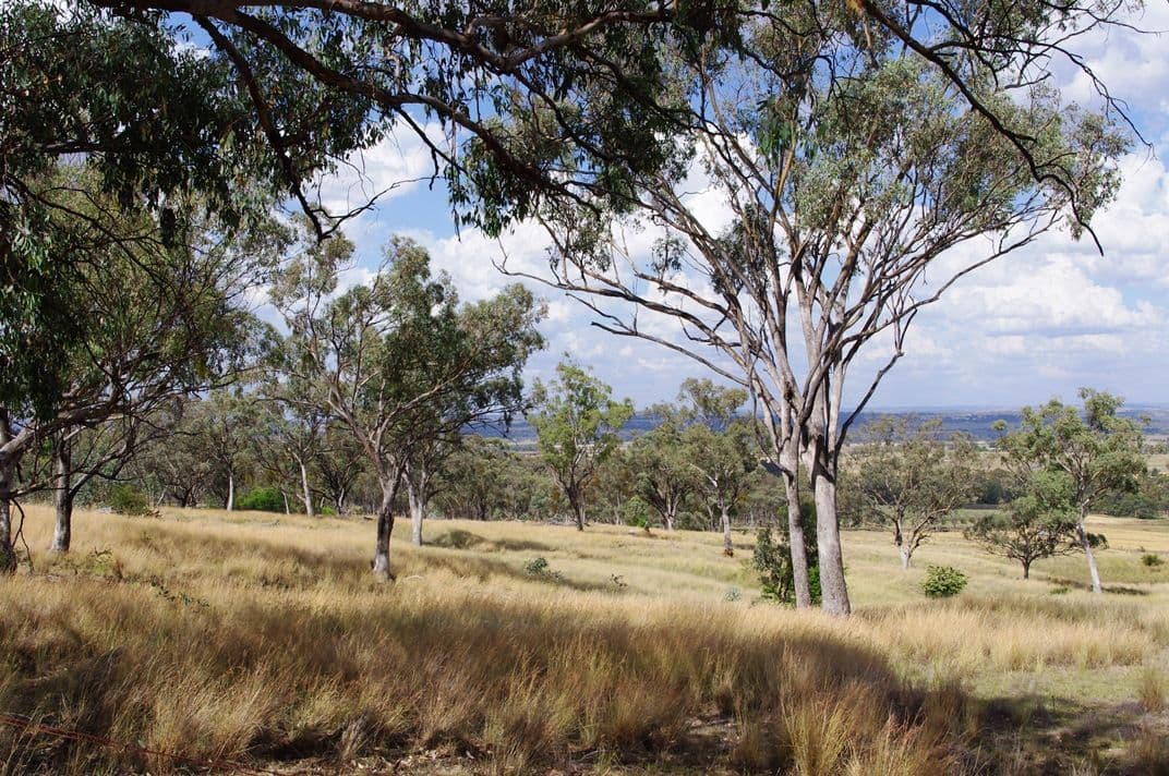 78 Mackie Lane, Inverell NSW 2360, Inverell - Thumbnail 5