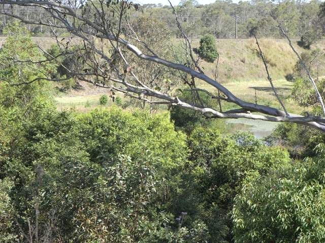 MONKLAND QLD 4570, Monkland - Thumbnail 3