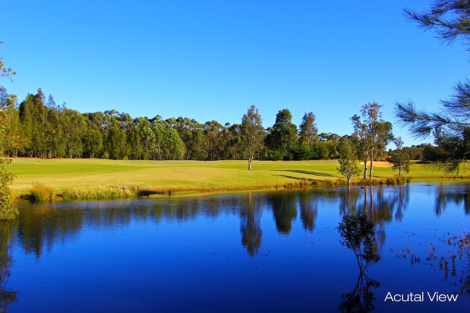 26 Windsorgreen Drive, Wyong NSW 2259, Wyong - Thumbnail 4