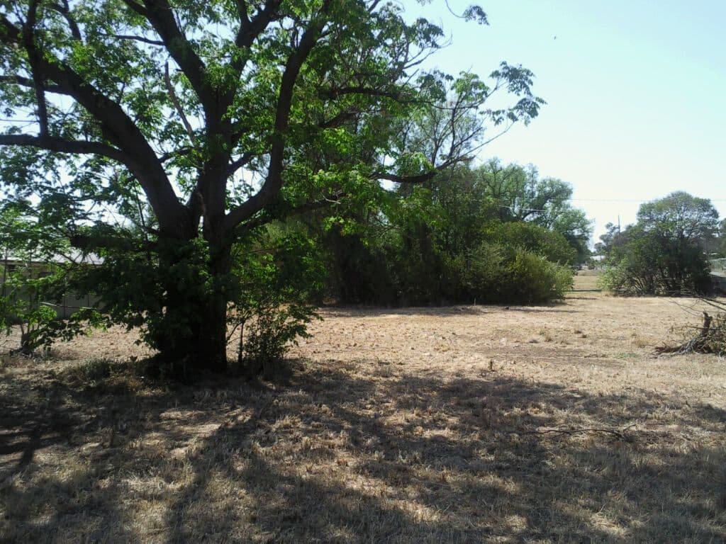 43-45 Railway Street, BINNAWAY NSW 2395, Binnaway - Thumbnail 2