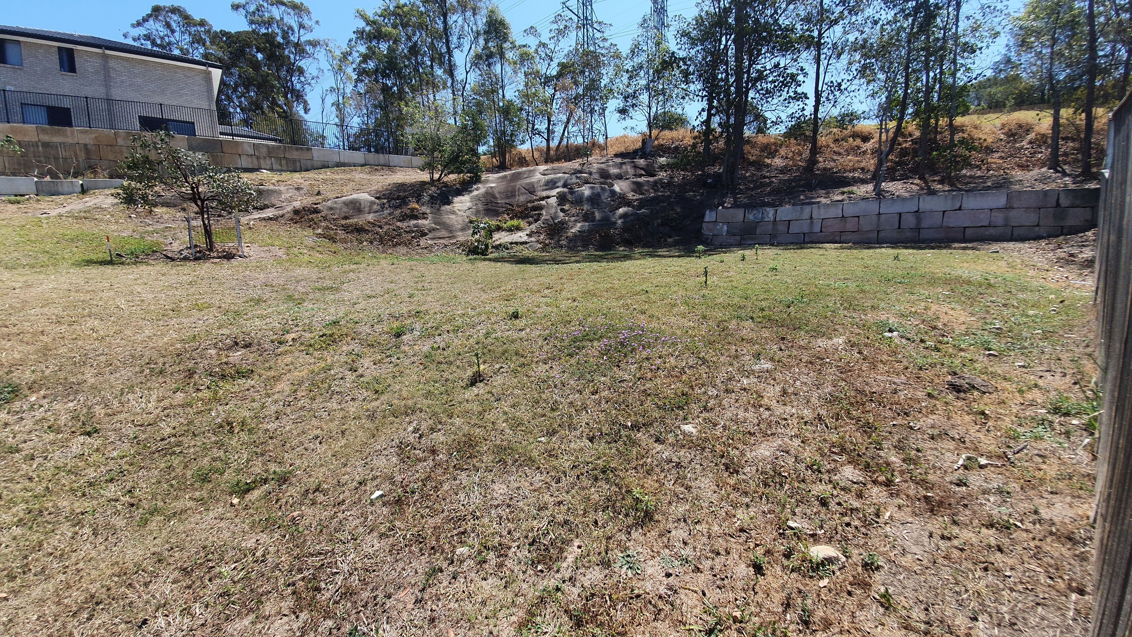 14 Dray Court, Riverhills QLD 4074, Riverhills - Thumbnail 6