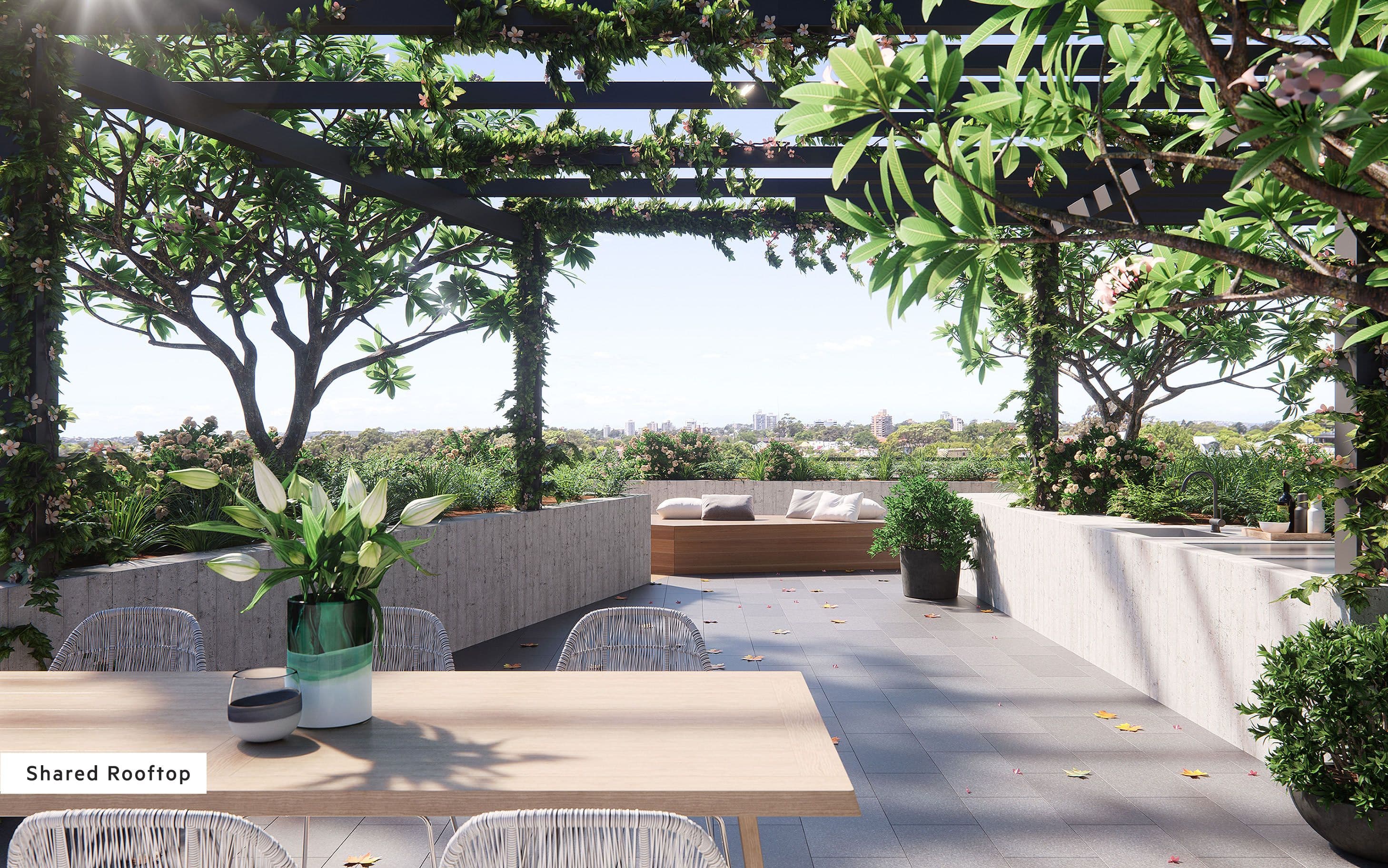 31-33 Albany Street, Crows Nest NSW 2065, Crows Nest - Thumbnail 7