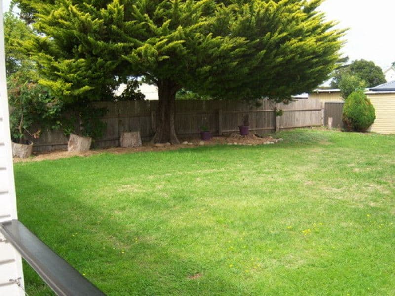 8 Pitt Street, GLEN INNES NSW 2370, Glen Innes - Thumbnail 6