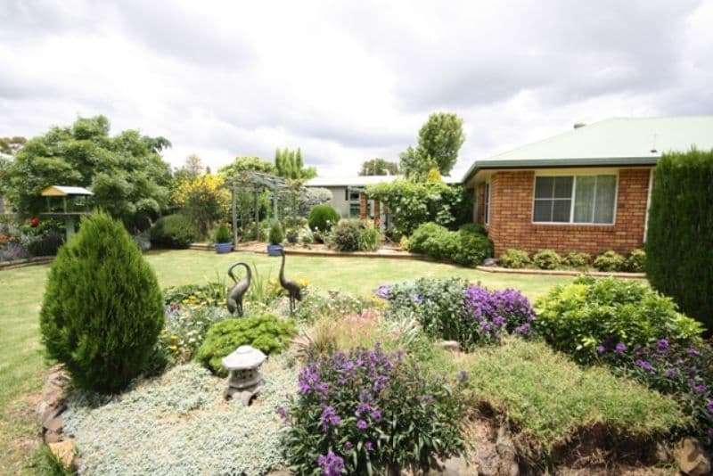 71 Arnold Street, ALLORA QLD 4362, Allora - Thumbnail 3