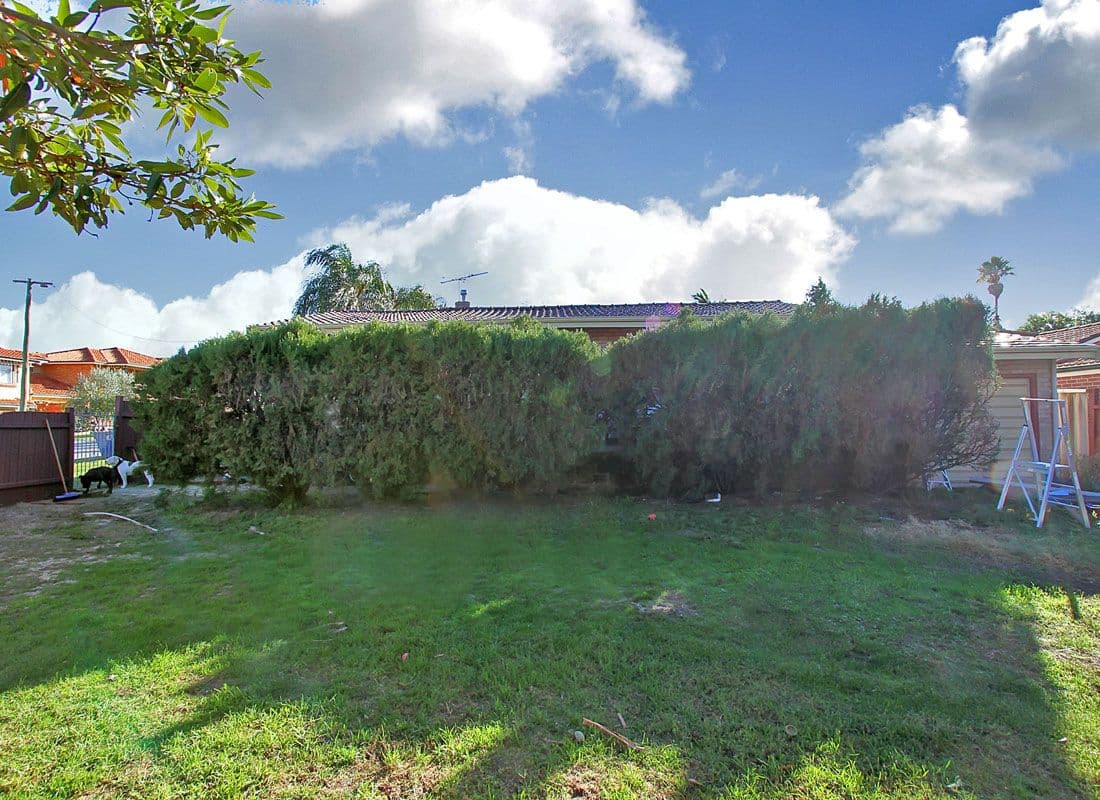 407 Hector Street, YOKINE WA 6060, Yokine - Thumbnail 3