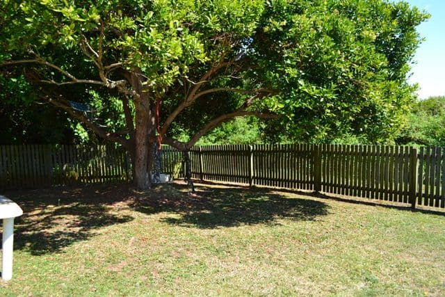 29 Swordfish Avenue, TARANGANBA QLD 4703, Taranganba - Thumbnail 6