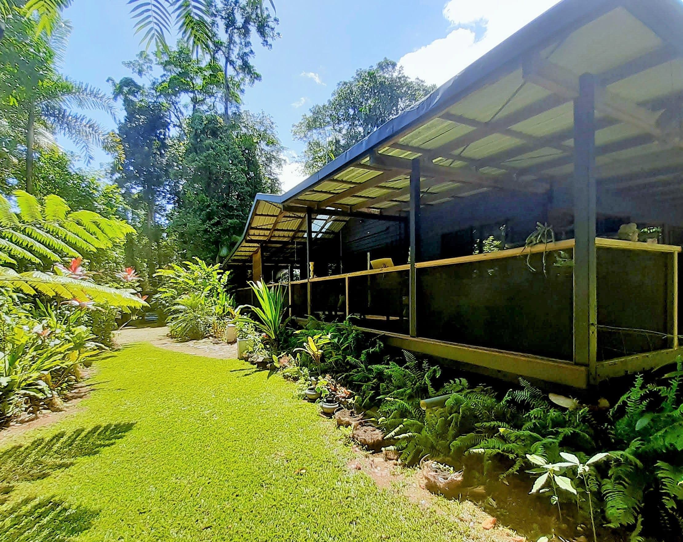 9 Maple Road, Cow Bay, Daintree QLD 4873, Daintree - Thumbnail 5