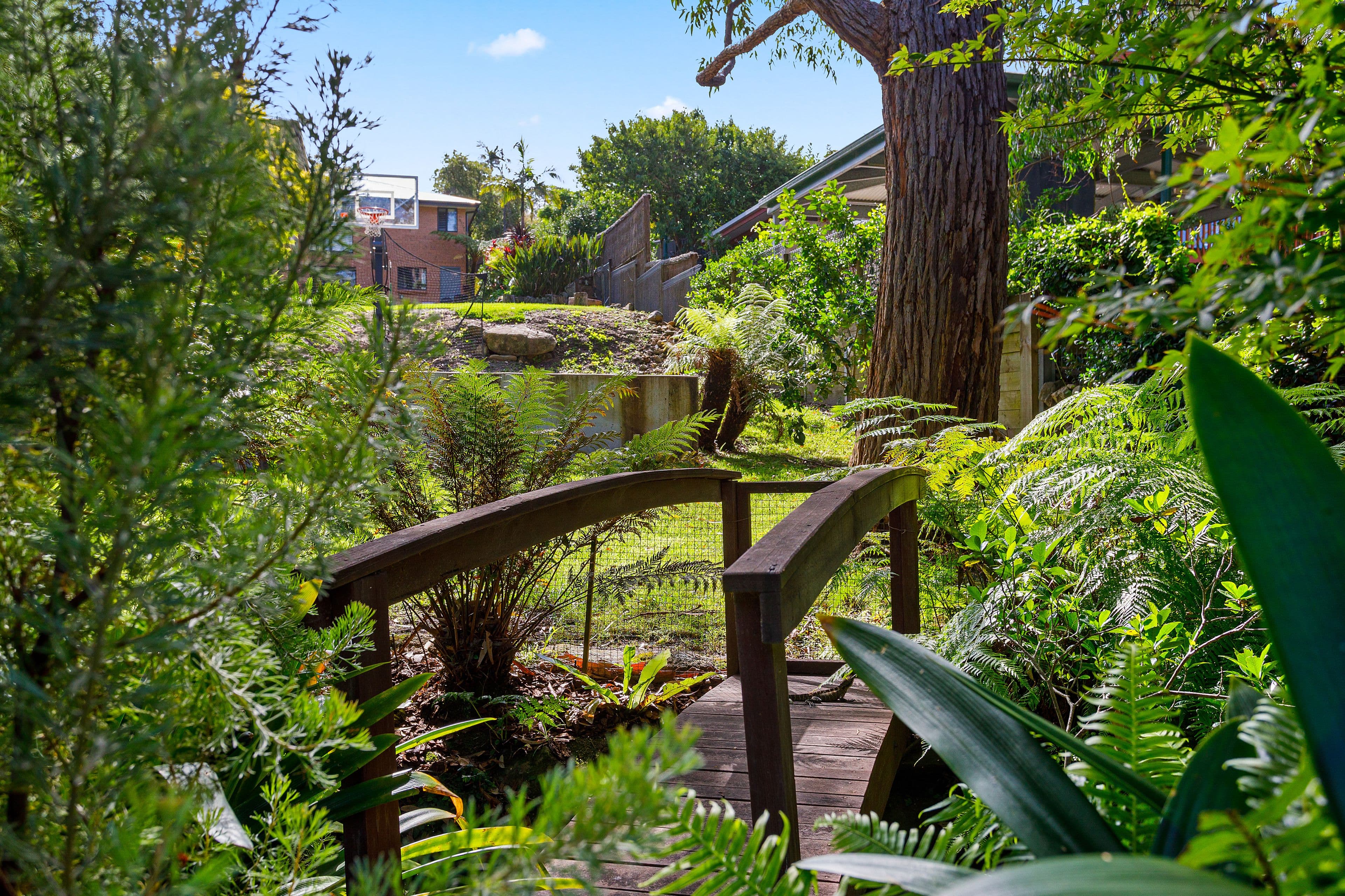 26 Vera Street, Helensburgh NSW 2508, Helensburgh - Thumbnail 8