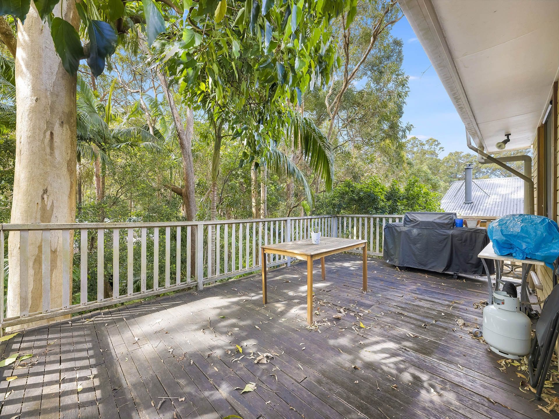 13 Karawatha Street, Buderim QLD 4556, Buderim - Thumbnail 6