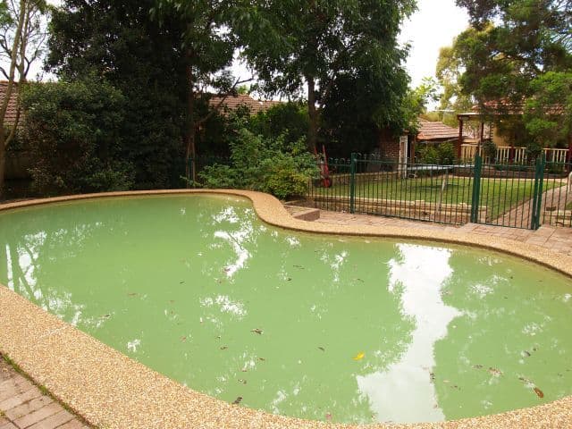 12 Hollis Avenue, EASTWOOD NSW 2122, Eastwood - Thumbnail 6
