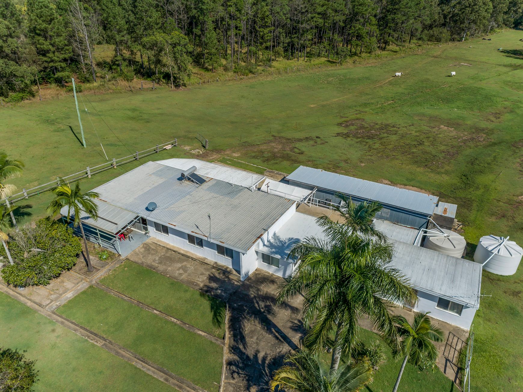 1749 Moorlands Road, Moorland QLD 4670, Moorland - Thumbnail 8