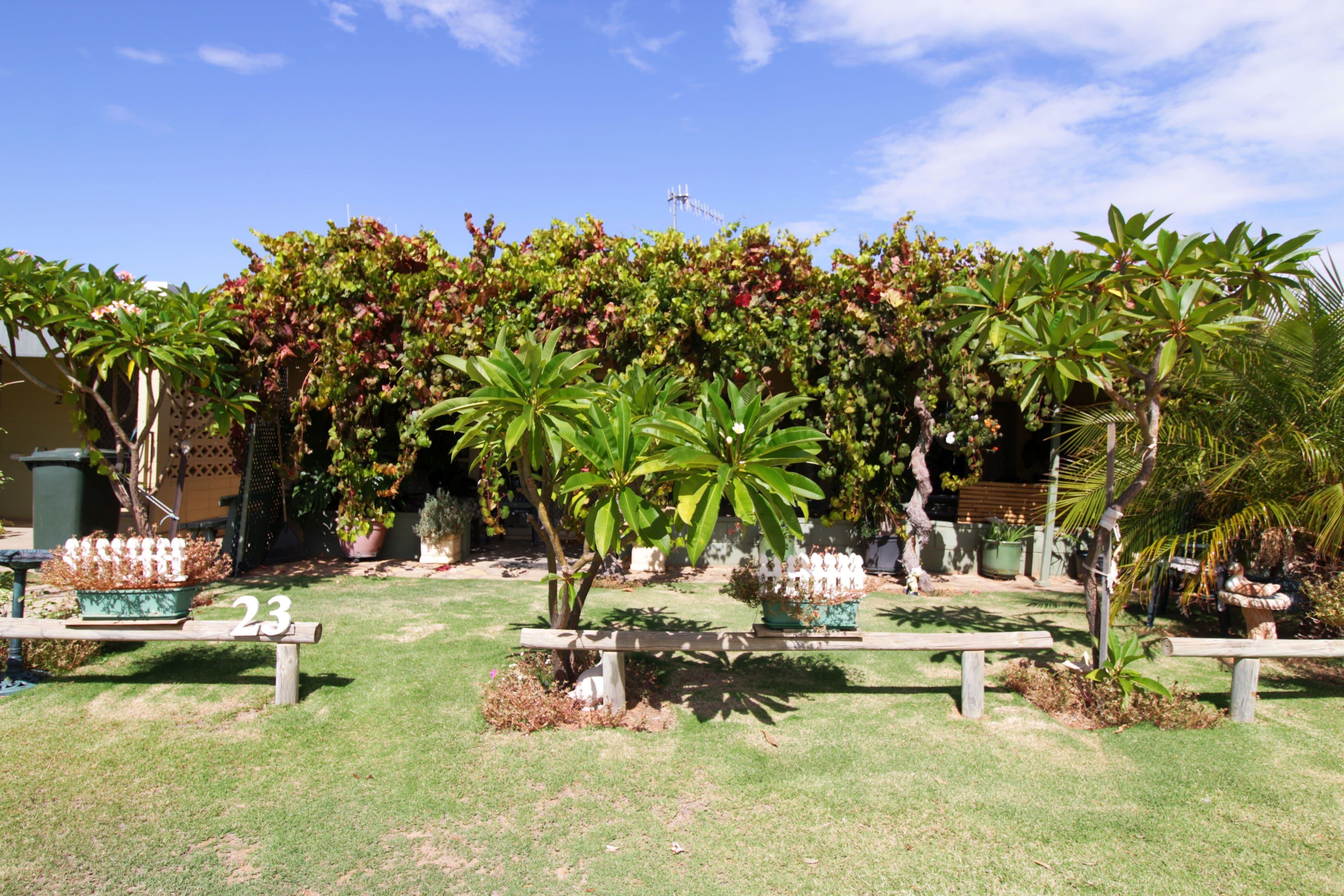 23 Queen Elizabeth Drive, Barmera SA 5345, Barmera - Image 1