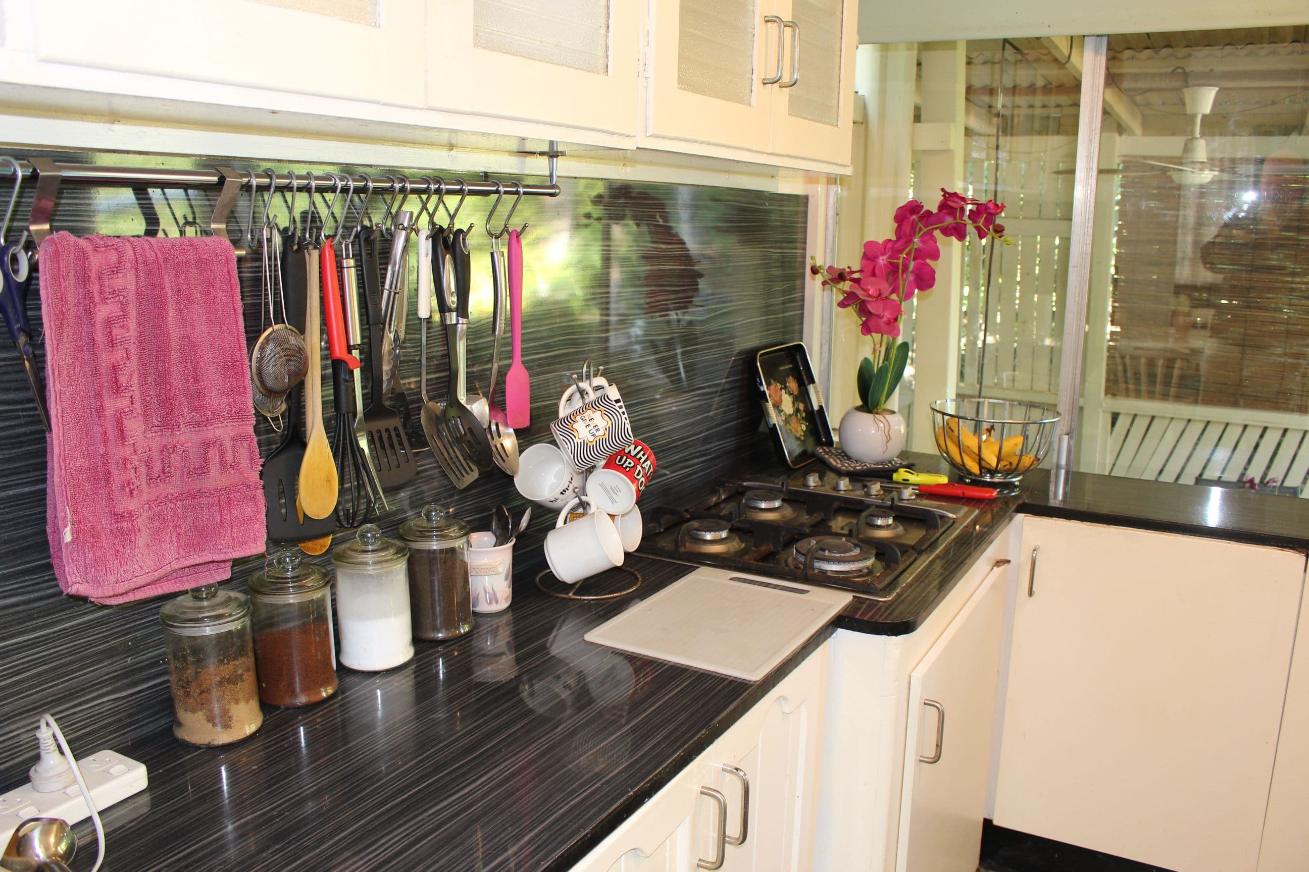 19 Flanagan Street, Coominya QLD 4311, Coominya - Thumbnail 4