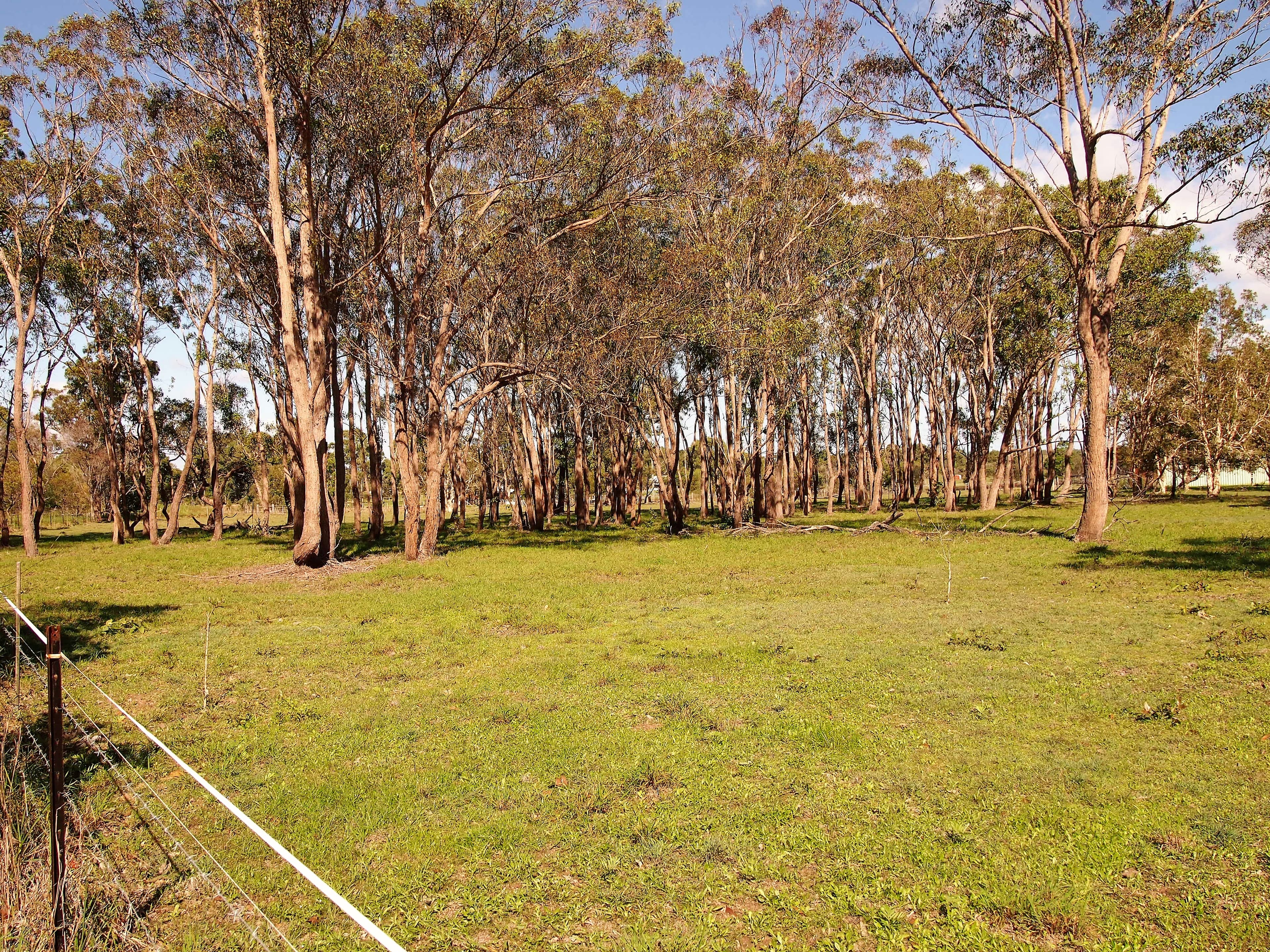 1591 Booral Road, Nikenbah QLD 4655, Nikenbah - Image 1
