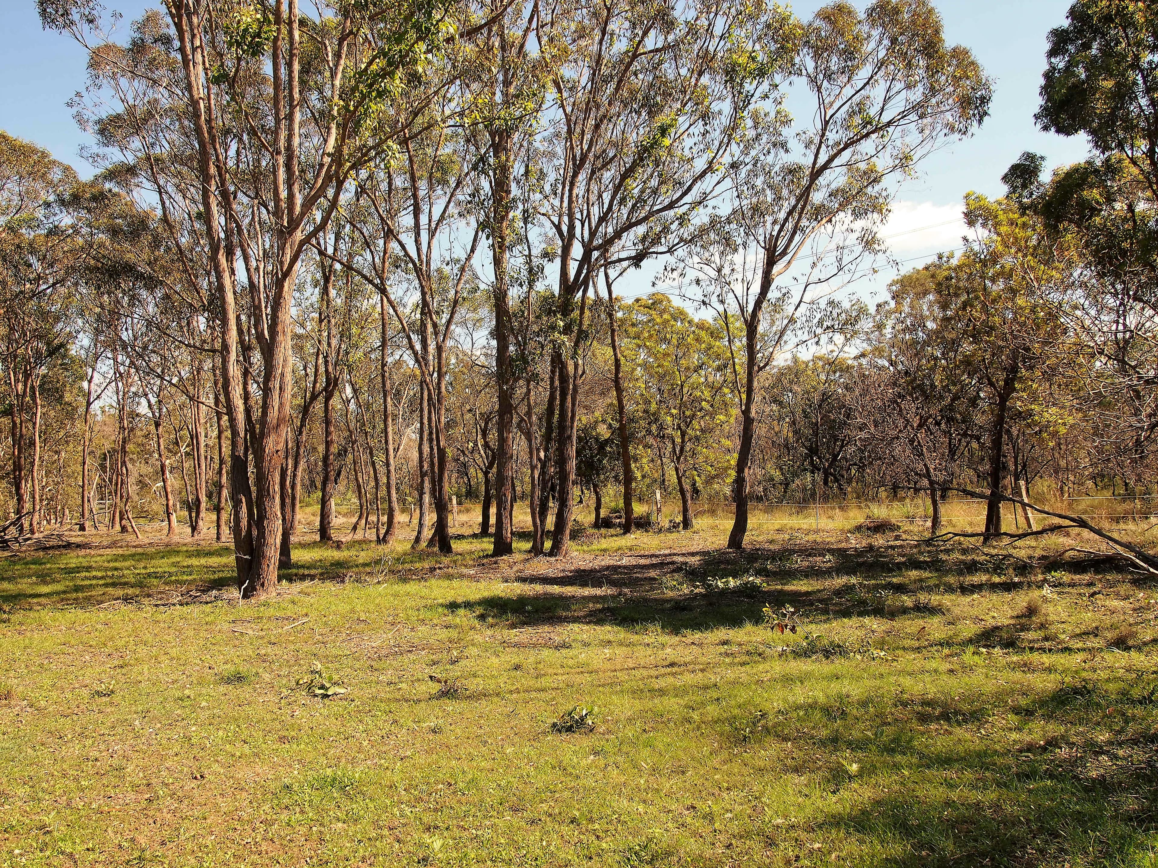 1591 Booral Road, Nikenbah QLD 4655, Nikenbah - Thumbnail 2
