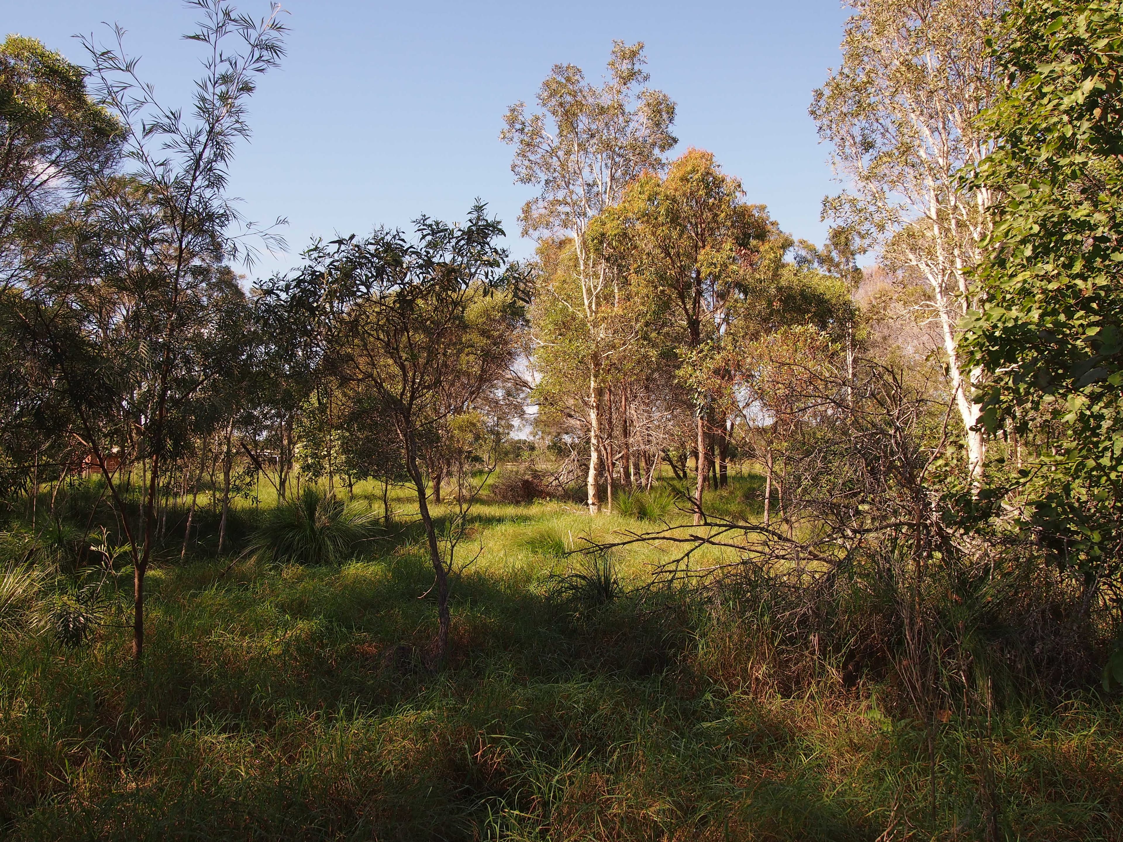 1591 Booral Road, Nikenbah QLD 4655, Nikenbah - Thumbnail 6