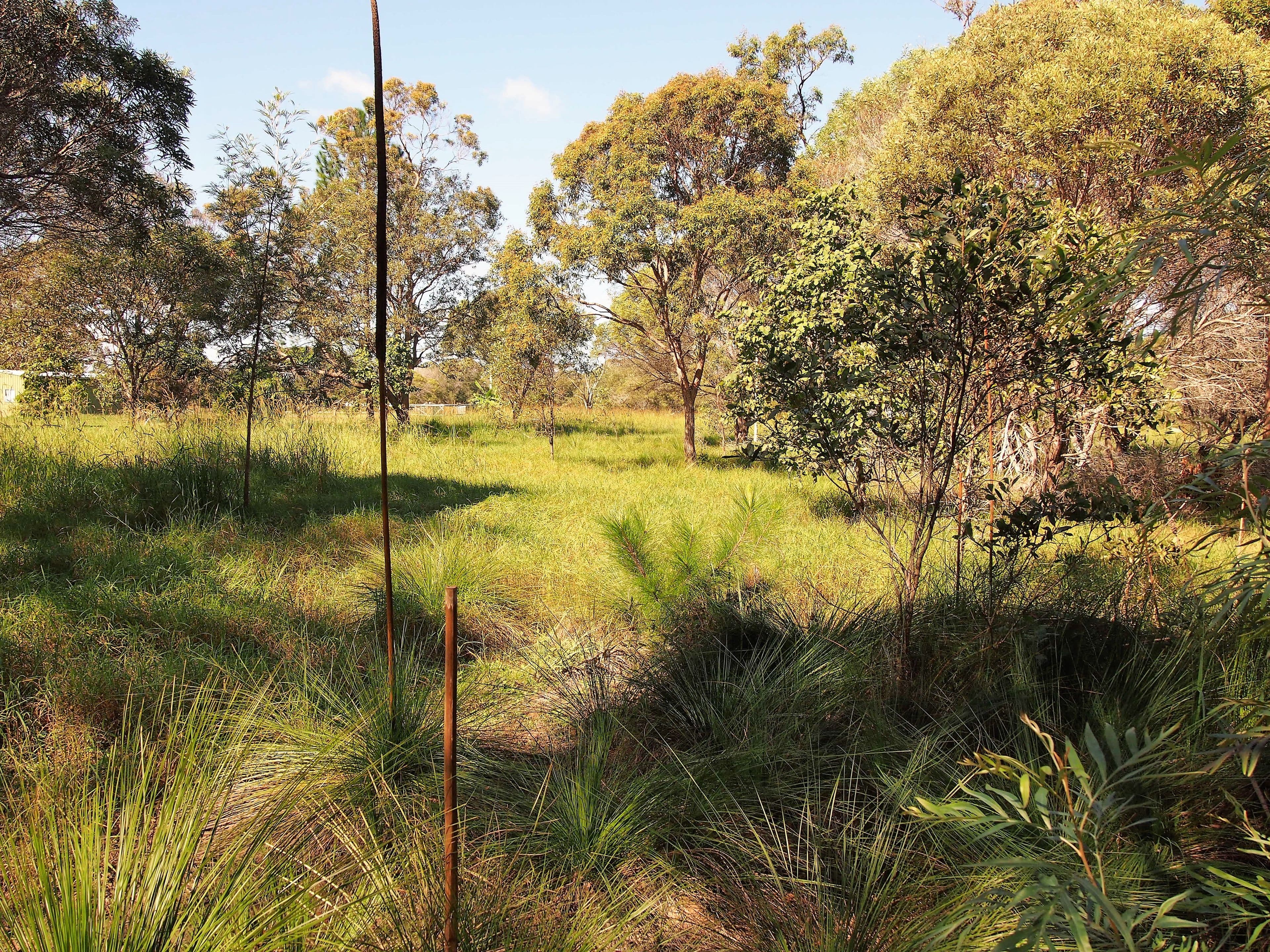 1591 Booral Road, Nikenbah QLD 4655, Nikenbah - Thumbnail 7