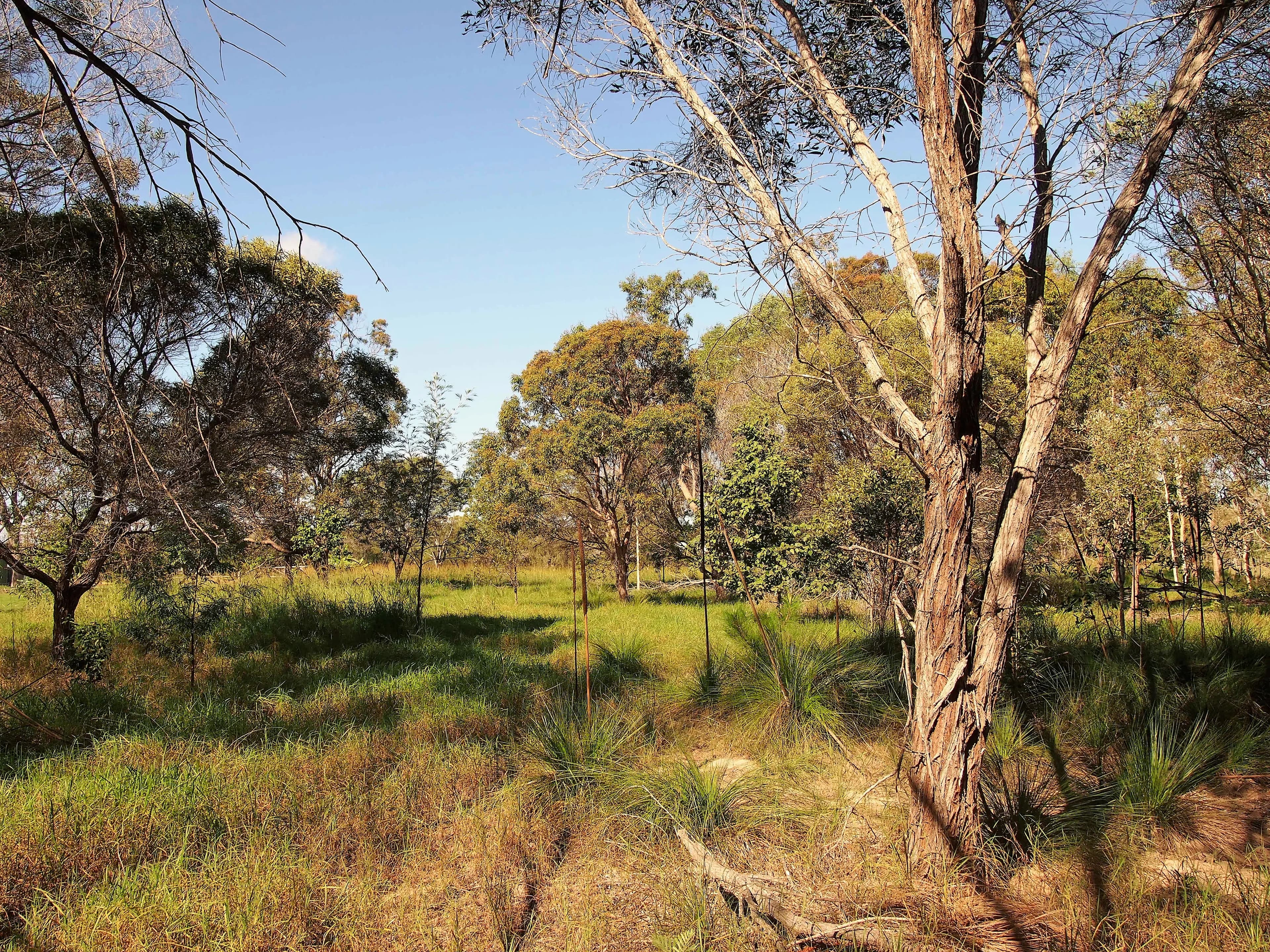 1591 Booral Road, Nikenbah QLD 4655, Nikenbah - Thumbnail 8