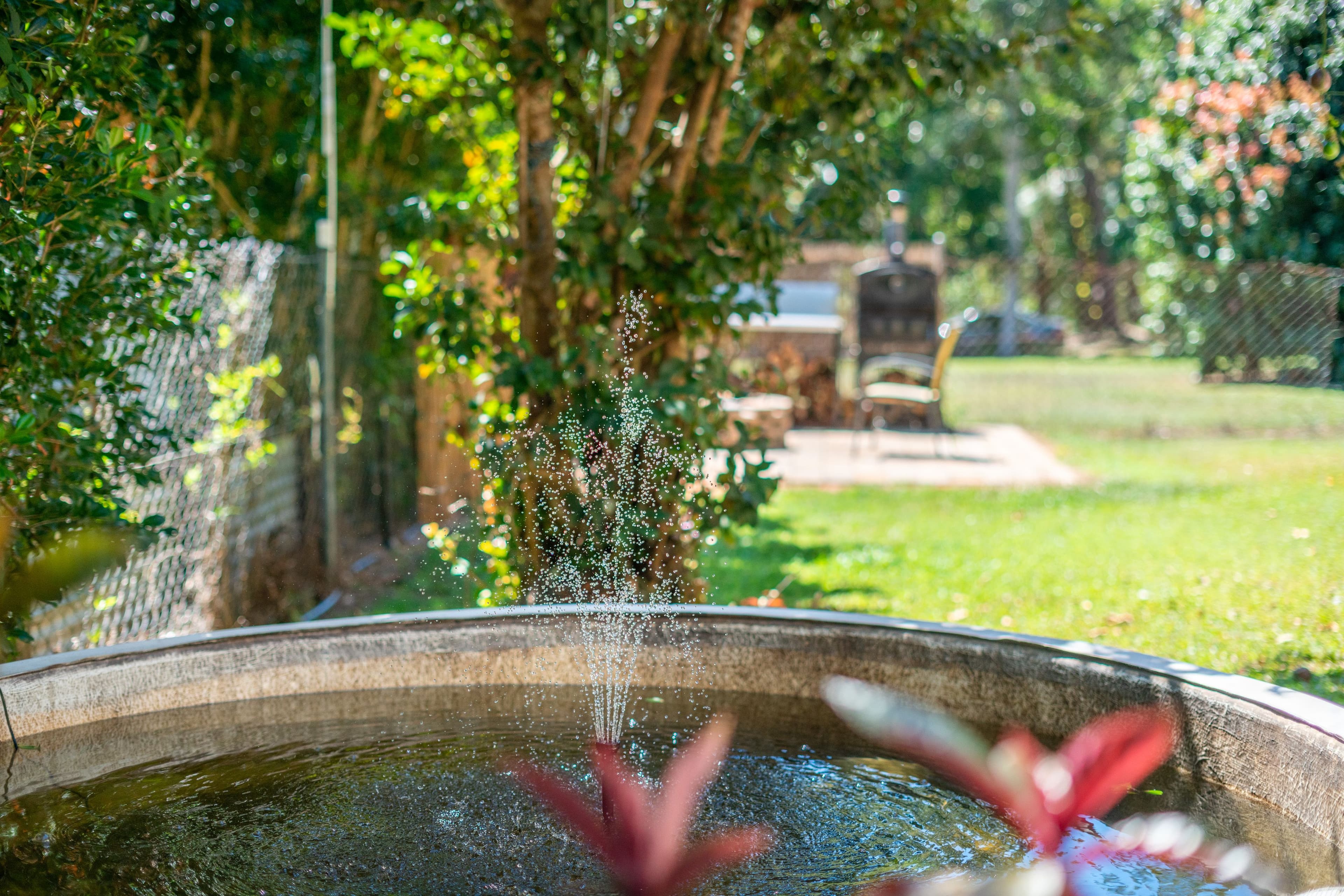 7 McCrae Street, East Trinity QLD 4871, East Trinity - Thumbnail 8
