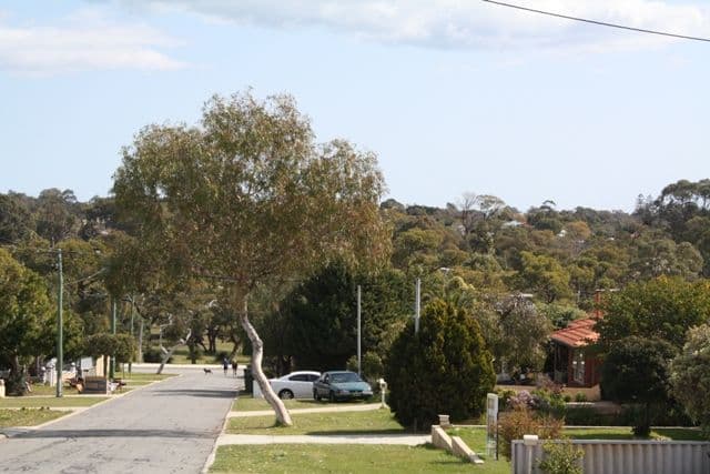 17 Steward Way, ORELIA WA 6167, Orelia - Thumbnail 2