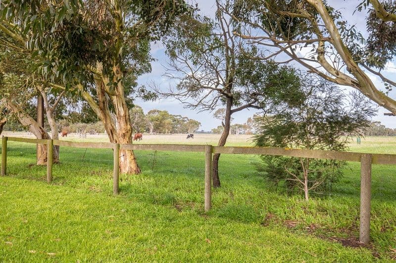 395 Old Medhurst Road, Wepar SA 5278, Wepar - Thumbnail 6