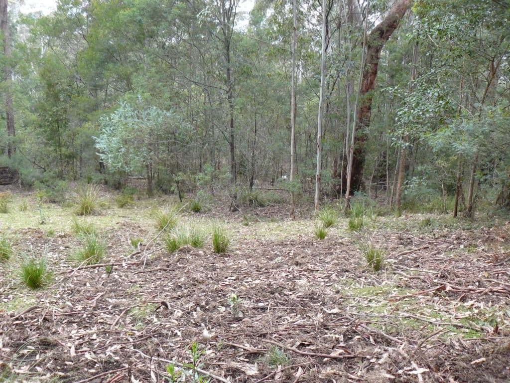 KANGAROO VALLEY NSW 2577, Kangaroo Valley - Thumbnail 4