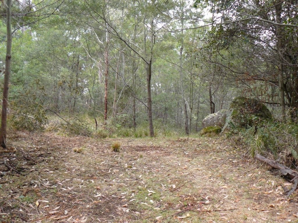 KANGAROO VALLEY NSW 2577, Kangaroo Valley - Thumbnail 6