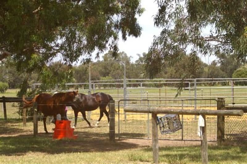 137 Warren Road, Bullsbrook WA 6084, Bullsbrook - Thumbnail 3