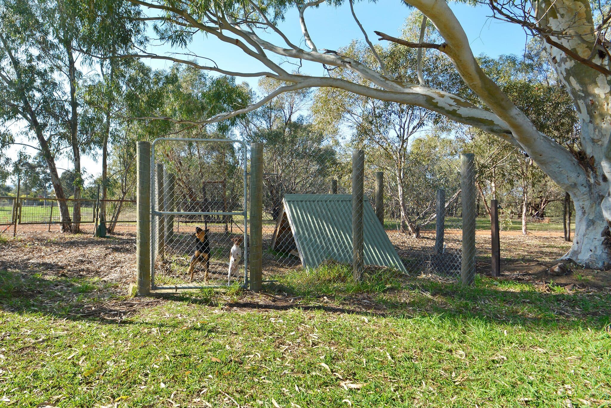 137 Warren Road, Bullsbrook WA 6084, Bullsbrook - Thumbnail 4