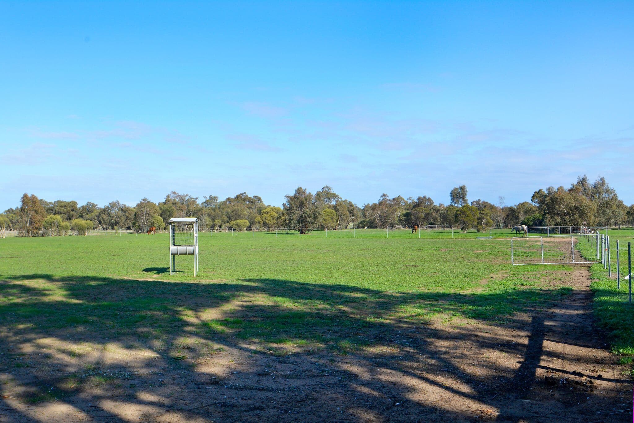 137 Warren Road, Bullsbrook WA 6084, Bullsbrook - Thumbnail 6