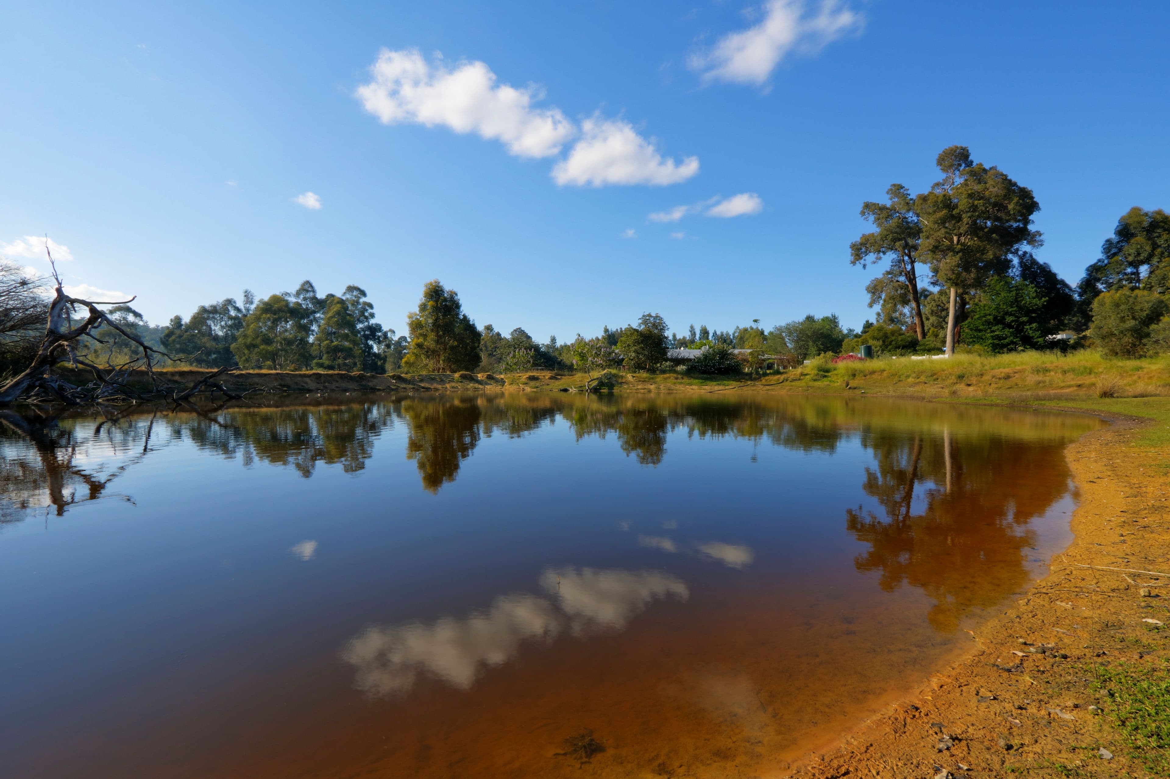 72 Forest View Court, North Greenbushes WA 6254, North Greenbushes - Thumbnail 2